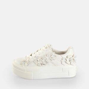 Paired Dove Sneakers Low vegan, white  