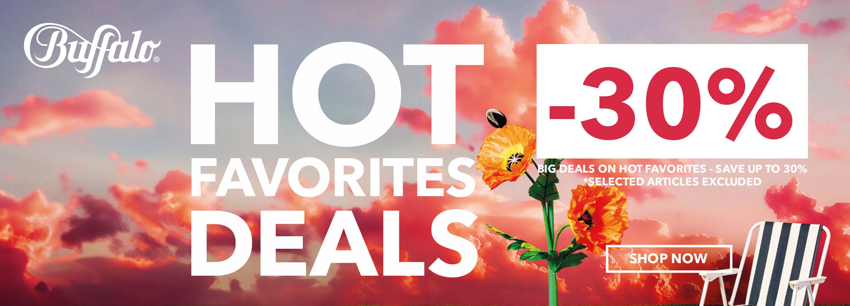 Hot Favorites Deals